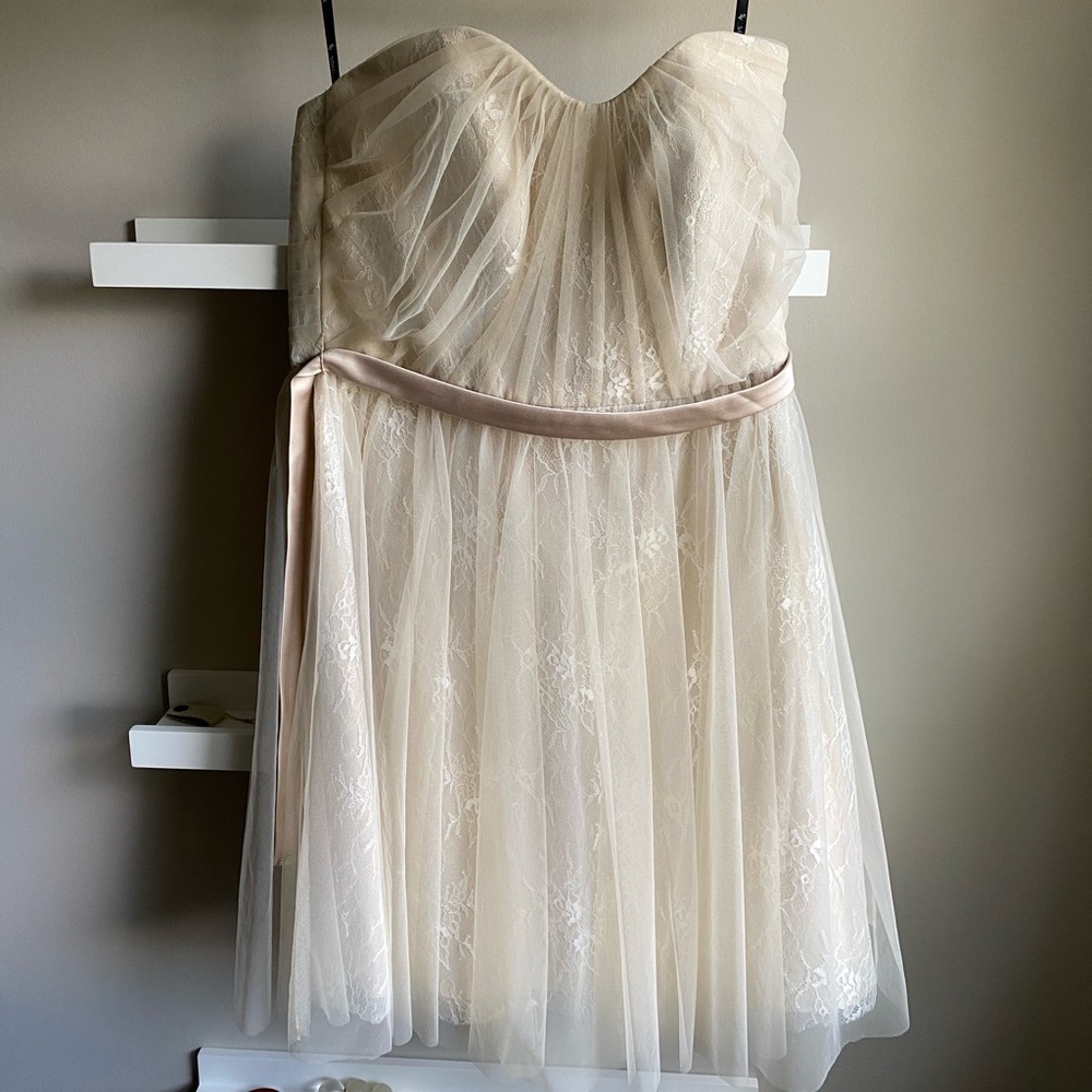 Sorella Vita strapless bridesmaid dress EUC size 14 fits like a 10